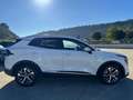 Kia Sportage Sportage 1.6 crdi mhev Style mt Bianco - thumbnail 5