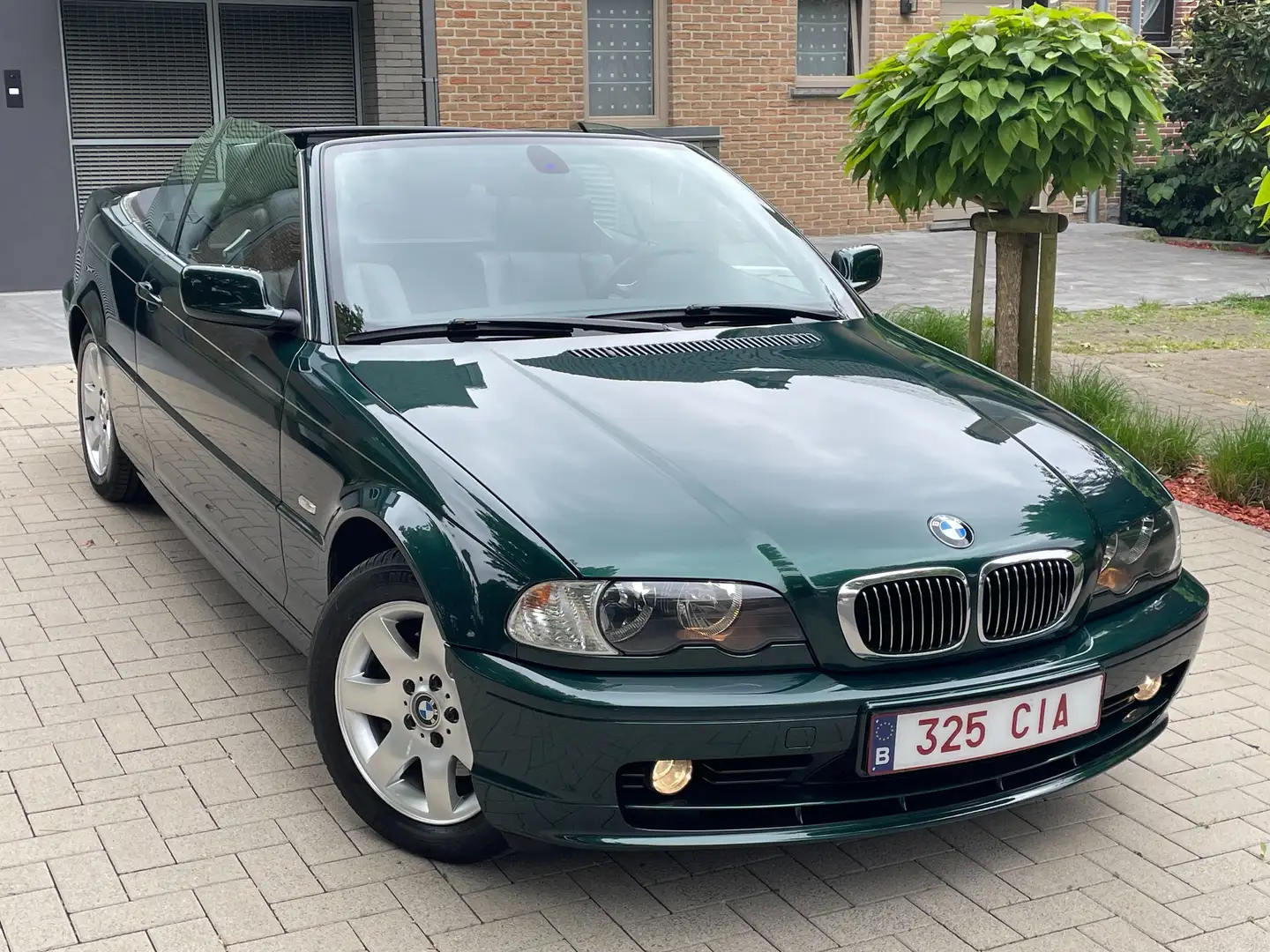 BMW 325 325 CiA Verde - 1