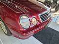 Mercedes-Benz CLK 230 KOMPRESSOR AVANTGARDE,Klima,Schibedach Rot - thumbnail 5
