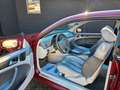 Mercedes-Benz CLK 230 KOMPRESSOR AVANTGARDE,Klima,Schibedach Rot - thumbnail 13