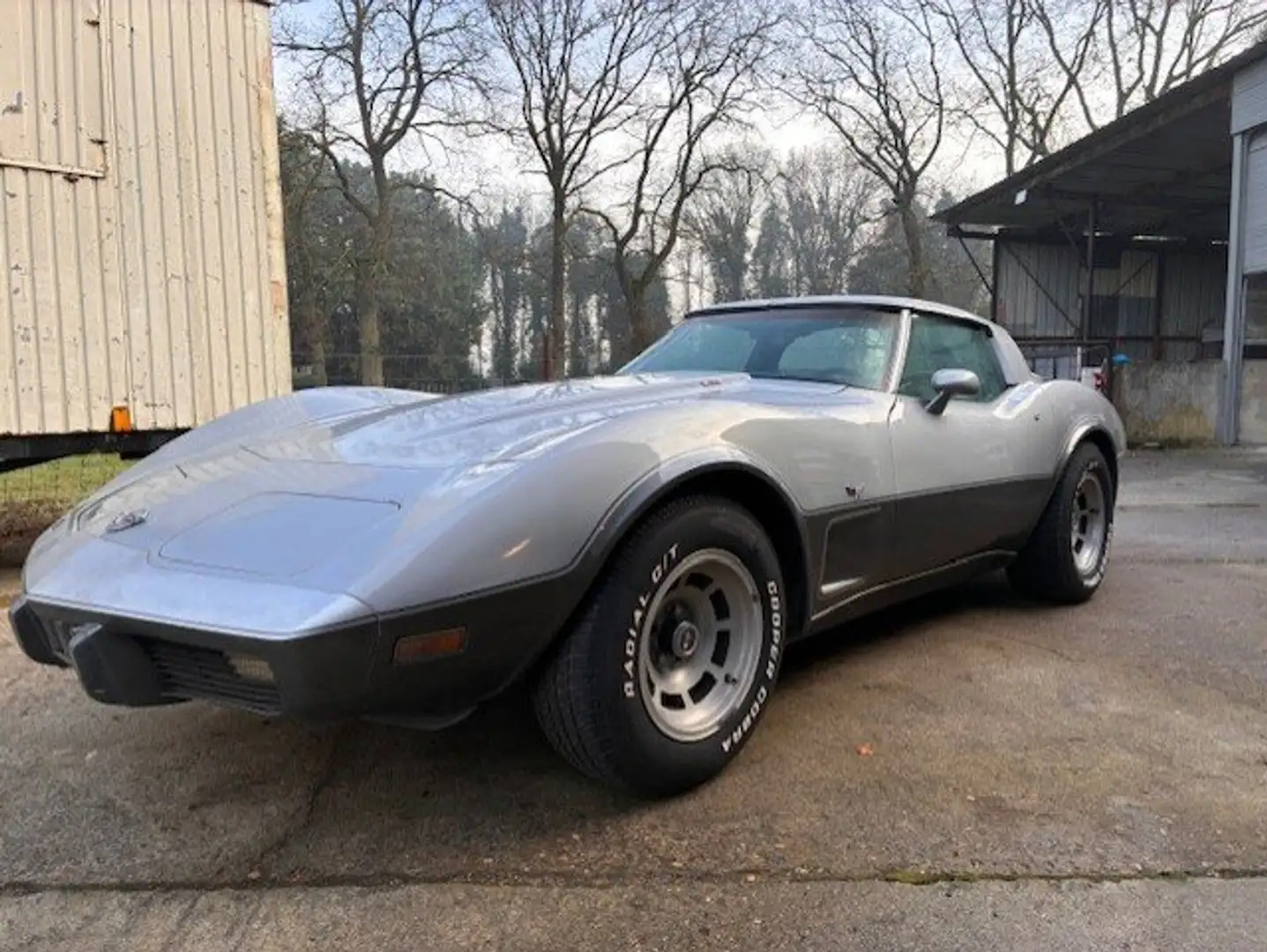 Corvette C3 silver anniversary Silber - 1