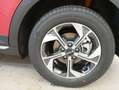 Kia XCeed 1.0 MHEV Drive 115 Rojo - thumbnail 8