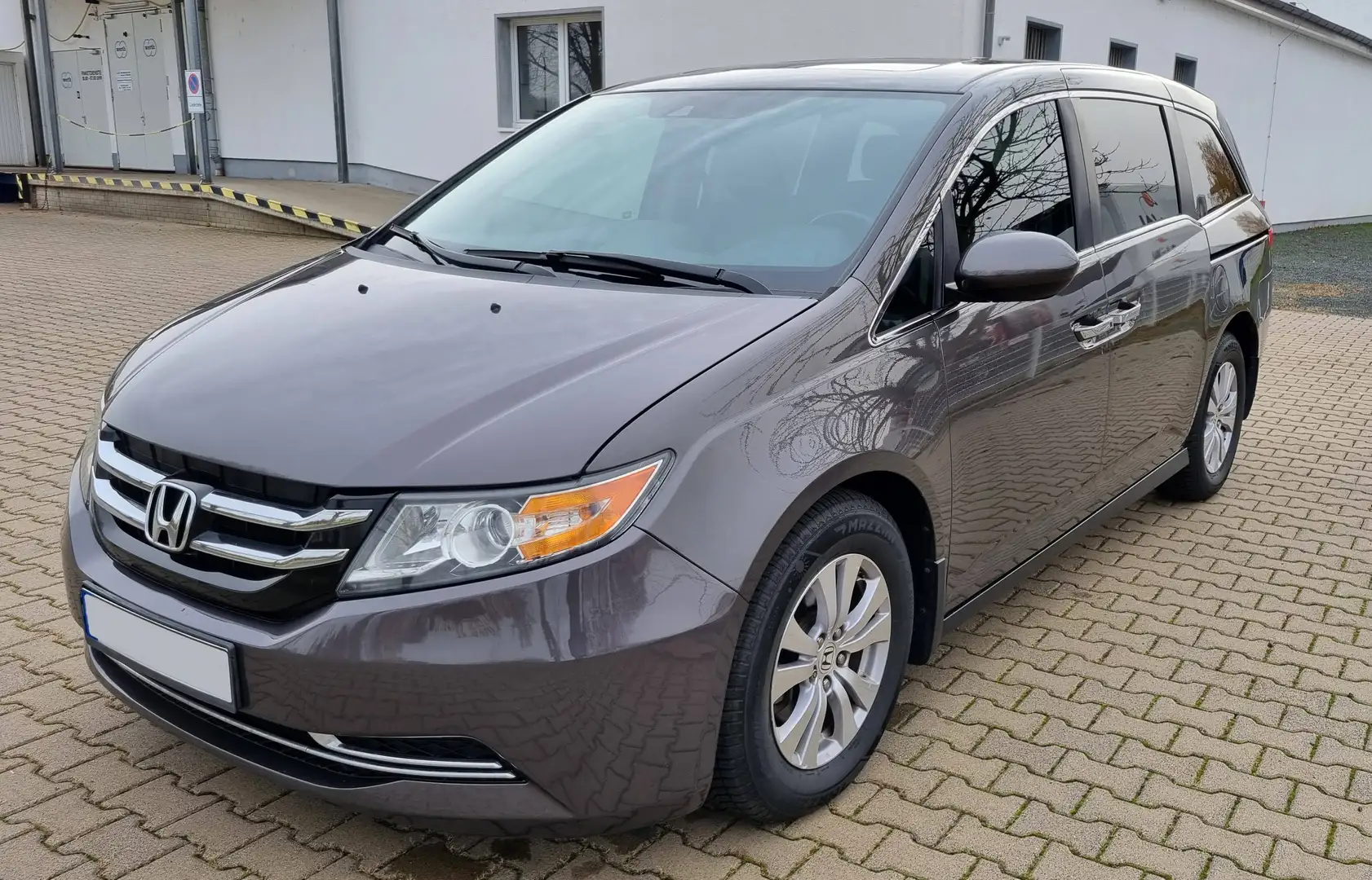 Honda Odyssey EXL Grau - 1