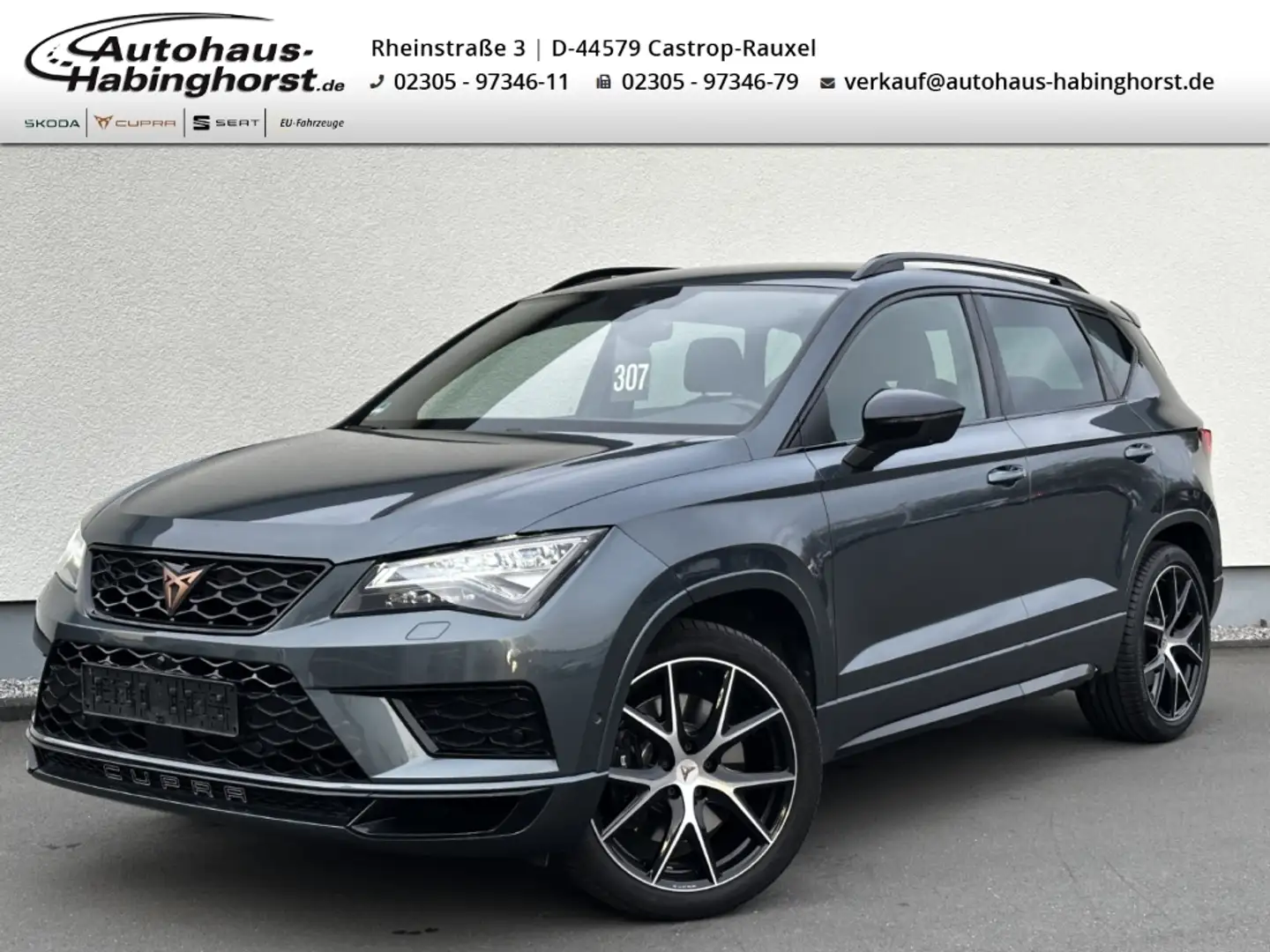 CUPRA Ateca 2.0 TSI 4x4 DSG TopView ACC DCC Shz Kessy FullLink Grau - 1