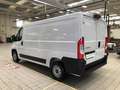Citroen Jumper 33L2H1 140cv Euro 6E.2 Bianco - thumbnail 11