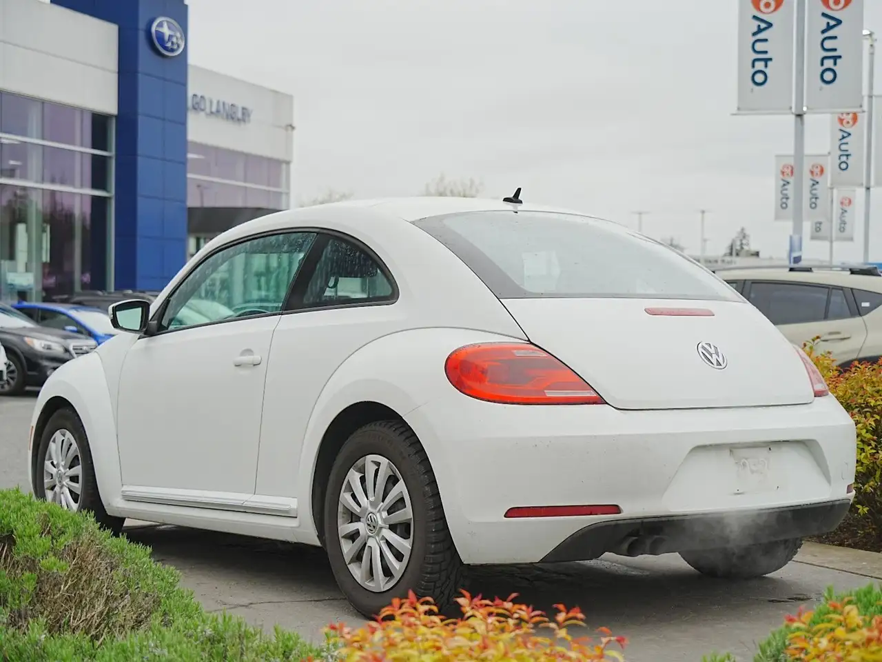 Volkswagen Beetle снимка Volkswagen Beetle