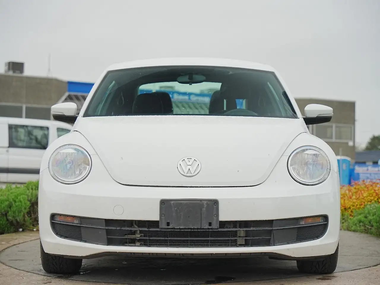 Volkswagen Beetle снимка Volkswagen Beetle