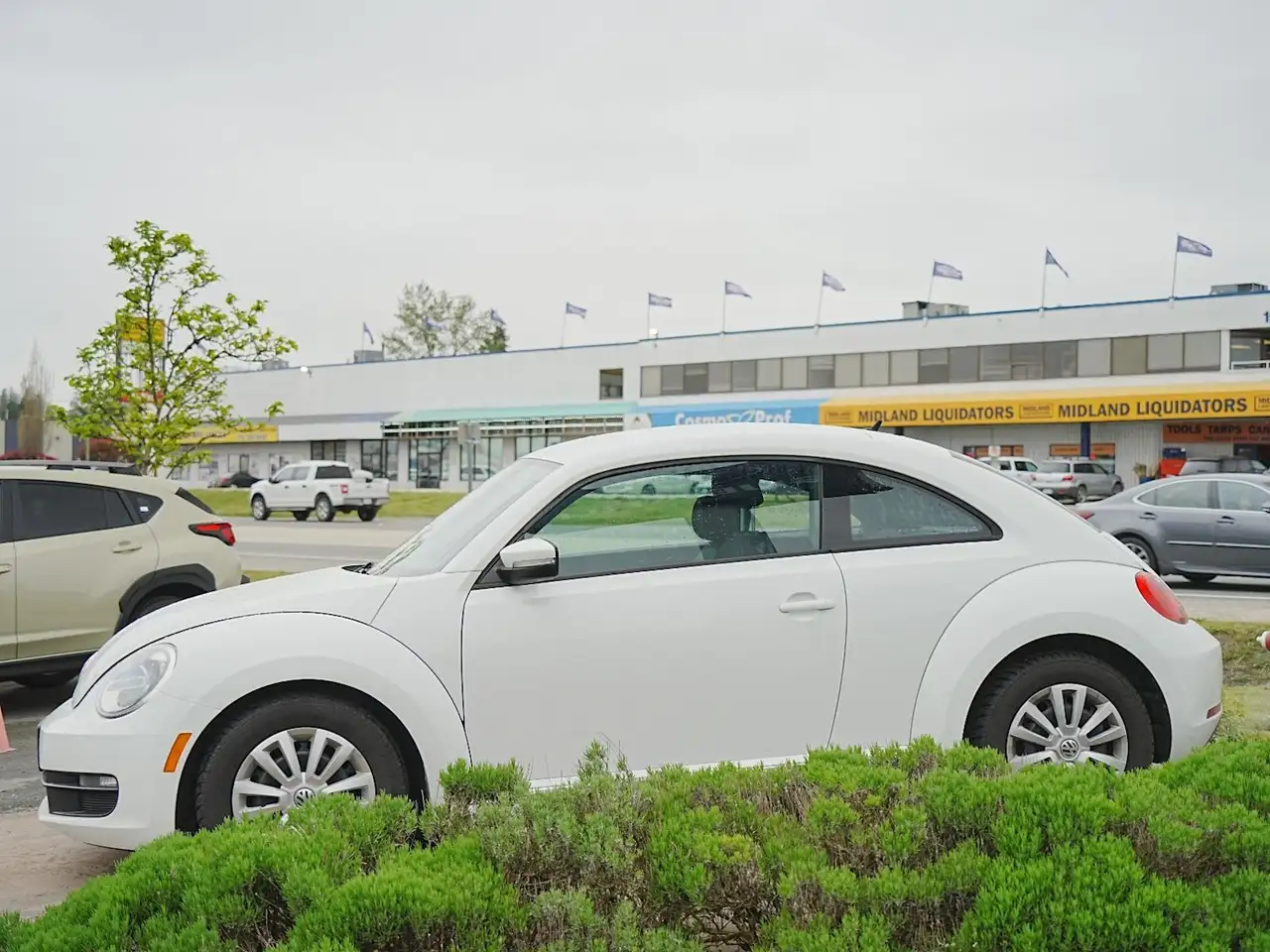 Volkswagen Beetle снимка Volkswagen Beetle