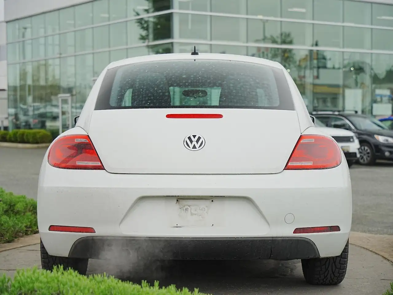 Volkswagen Beetle снимка Volkswagen Beetle