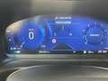 Ford Puma Titanium Bluetooth Navi LED Klima el. Fenster Gris - thumbnail 12