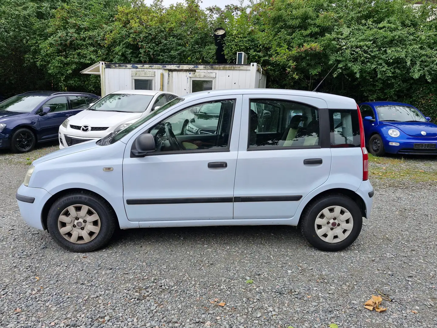 Fiat Panda Panda 1.2 Dynamic Weiß - 2