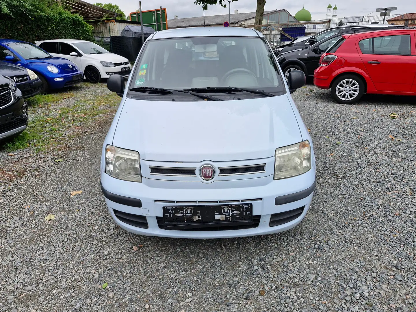 Fiat Panda Panda 1.2 Dynamic Weiß - 1