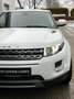 Land Rover Range Rover Evoque Evoque Pure Bi-Xenon Kamera Navi Leder Weiß - thumbnail 12
