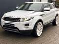 Land Rover Range Rover Evoque Evoque Pure Bi-Xenon Kamera Navi Leder Weiß - thumbnail 9