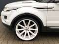 Land Rover Range Rover Evoque Evoque Pure Bi-Xenon Kamera Navi Leder Weiß - thumbnail 11