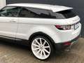 Land Rover Range Rover Evoque Evoque Pure Bi-Xenon Kamera Navi Leder Weiß - thumbnail 10