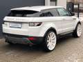 Land Rover Range Rover Evoque Evoque Pure Bi-Xenon Kamera Navi Leder Weiß - thumbnail 5