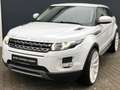 Land Rover Range Rover Evoque Evoque Pure Bi-Xenon Kamera Navi Leder Weiß - thumbnail 1