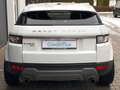 Land Rover Range Rover Evoque Evoque Pure Bi-Xenon Kamera Navi Leder Weiß - thumbnail 6