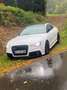 Audi RS5 S tronic Blanco - thumbnail 7