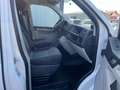 Volkswagen T6 Transporter Kasten Mittelhochdach LANG StandH Blanc - thumbnail 5