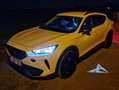 CUPRA Formentor Formentor 1.4 e-Hybrid DSG Wit - thumbnail 14