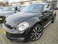 Volkswagen Beetle Sport 2.0TSI DSG *LEDER *NAVI *XENON Black - thumbnail 1