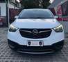 Opel Grandland ECOTEC D 8V StarteStop Blanc - thumbnail 2