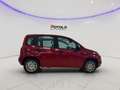 Fiat Panda Promo Car Serenity Rosso - thumbnail 4