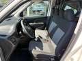 Fiat Doblo BASE Blanc - thumbnail 10