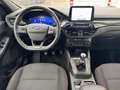 Ford Kuga 1.5 EcoBlue ST-Line X FWD 120 Gris - thumbnail 30