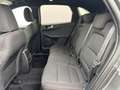 Ford Kuga 1.5 EcoBlue ST-Line X FWD 120 Gris - thumbnail 6