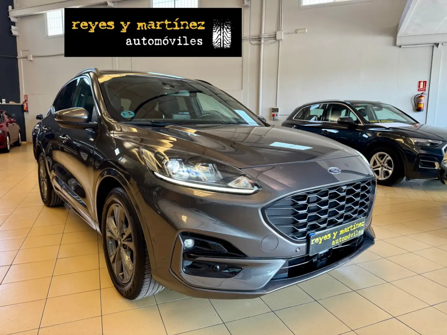 Ford Kuga 1.5 EcoBlue ST-Line X FWD 120 Gris - 2