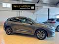 Ford Kuga 1.5 EcoBlue ST-Line X FWD 120 Gris - thumbnail 15
