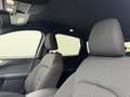 Ford Kuga 1.5 EcoBlue ST-Line X FWD 120 Gris - thumbnail 25