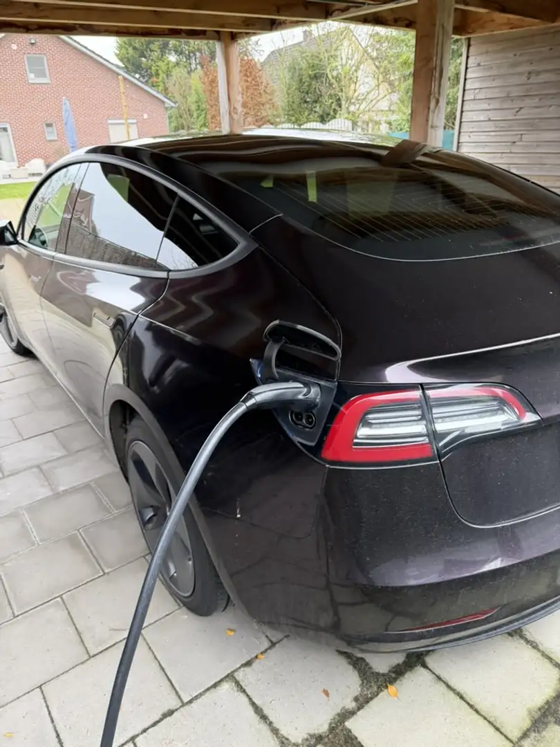 Tesla Model 3 Model 3 Langstreckenbatt. Allradantrieb Dual Motor Blauw - 2