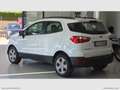 Ford EcoSport 1.5 TDCi 100 CV S&S Plus Wit - thumbnail 9