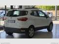 Ford EcoSport 1.5 TDCi 100 CV S&S Plus Wit - thumbnail 2