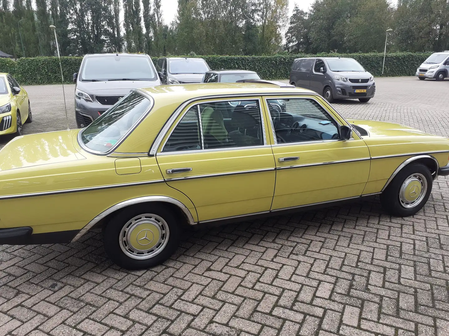 Mercedes-Benz 240 w123 D, APK mei 2027, schuifdak, veel opties Geel - 1