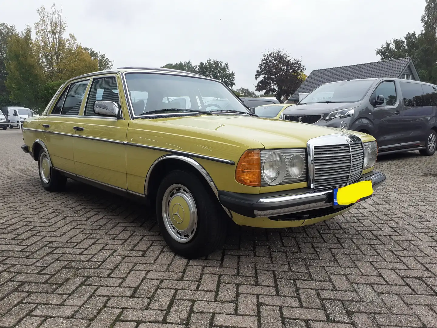 Mercedes-Benz 240 w123 D, APK mei 2027, schuifdak, veel opties Geel - 1