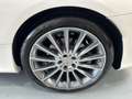 Mercedes-Benz C 43 AMG Cabrio 4Matic Aut. Blanco - thumbnail 14