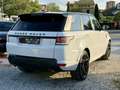 Land Rover Range Rover Sport 3.0 tdV6 HSE Dynamic auto Bianco - thumbnail 6