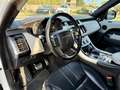 Land Rover Range Rover Sport 3.0 tdV6 HSE Dynamic auto Bianco - thumbnail 7