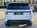Land Rover Range Rover Sport 3.0 tdV6 HSE Dynamic auto Bianco - thumbnail 5