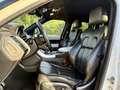 Land Rover Range Rover Sport 3.0 tdV6 HSE Dynamic auto Bianco - thumbnail 10