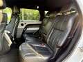 Land Rover Range Rover Sport 3.0 tdV6 HSE Dynamic auto Bianco - thumbnail 13