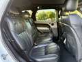 Land Rover Range Rover Sport 3.0 tdV6 HSE Dynamic auto Bianco - thumbnail 12