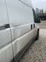 Peugeot Boxer Boxer 335 BlueHDi HDi 335 L3 Weiß - thumbnail 4