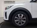Kia Stonic 1.0 T-GDI Vision Navi+SHZ+Fernlichtass. Blanc - thumbnail 19
