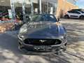 Ford Mustang Mustang Convertible 5.0 V8 Ti-VCT - 450 - BVA  CON Gris - thumbnail 8